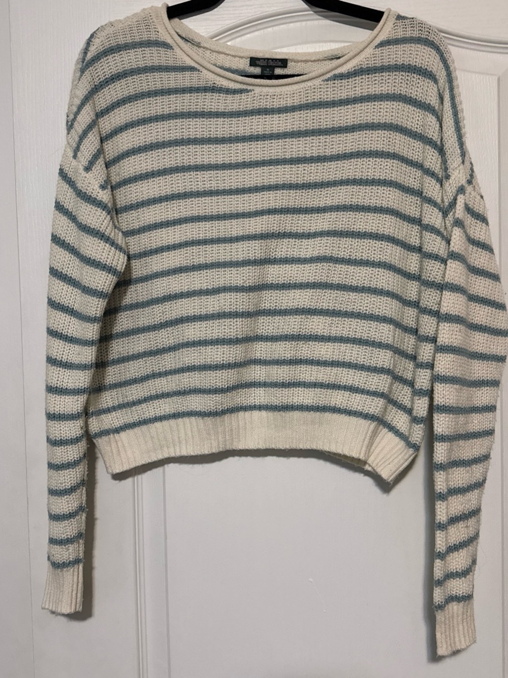 wild fable Cream and Blue Striped Crewneck Sweater